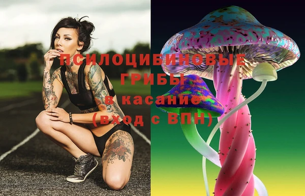 a pvp Балахна