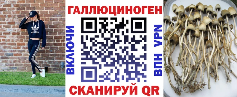 где можно купить наркотик  Покровск  Галлюциногенные грибы прущие грибы 